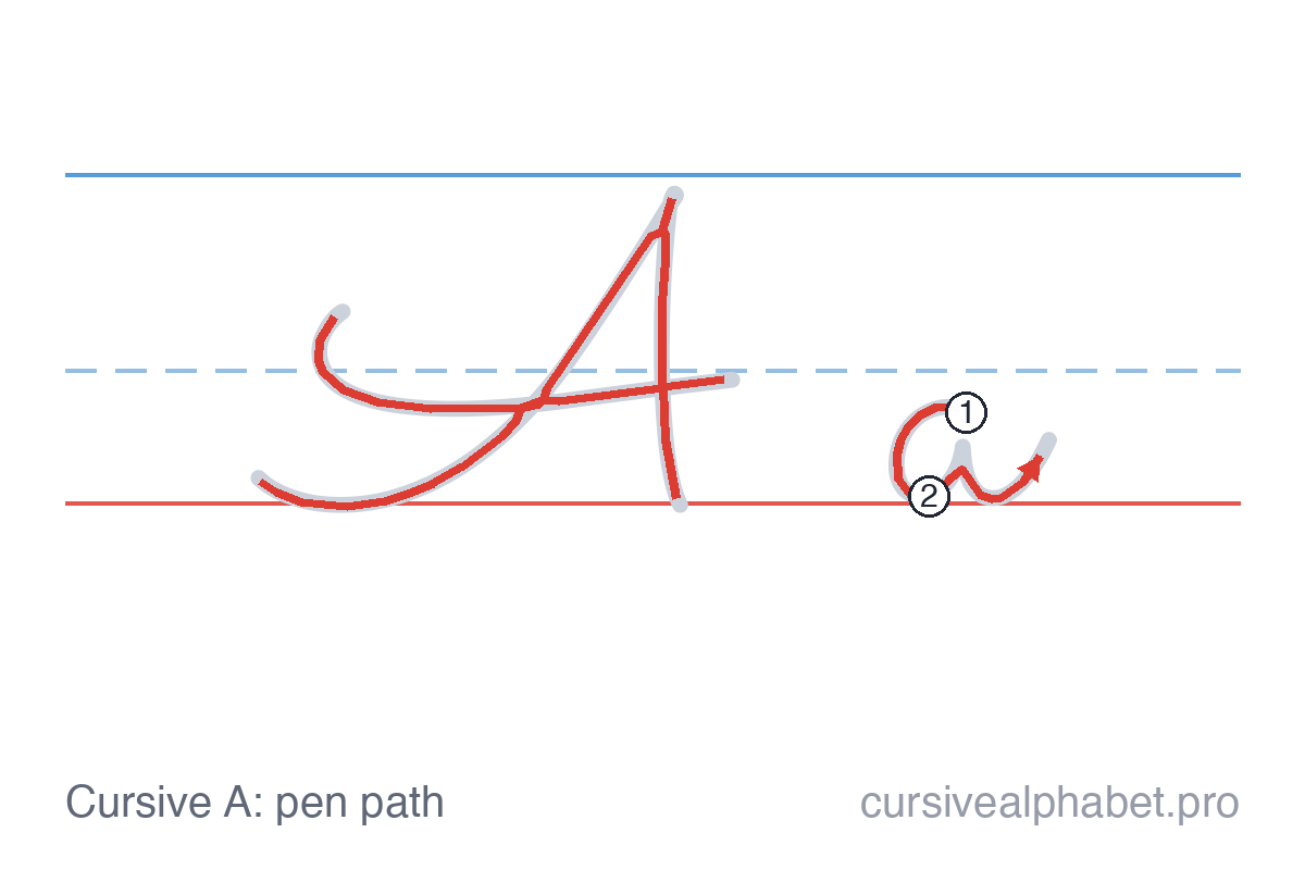 How to write cursive A: the pen path for uppercase A and lowercase a on ruled paper, with numbered steps on the lowercase a