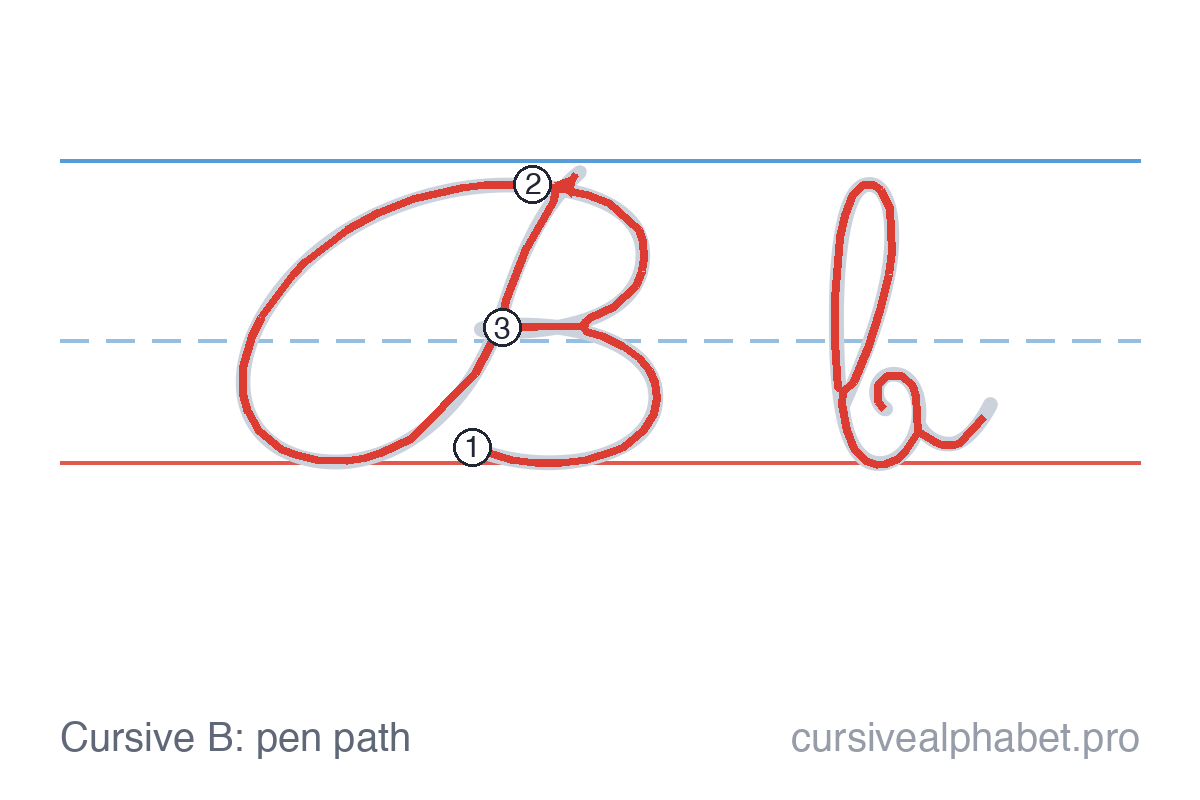 How to write cursive B: the pen path for uppercase B and lowercase b on ruled paper, with numbered steps on the capital B