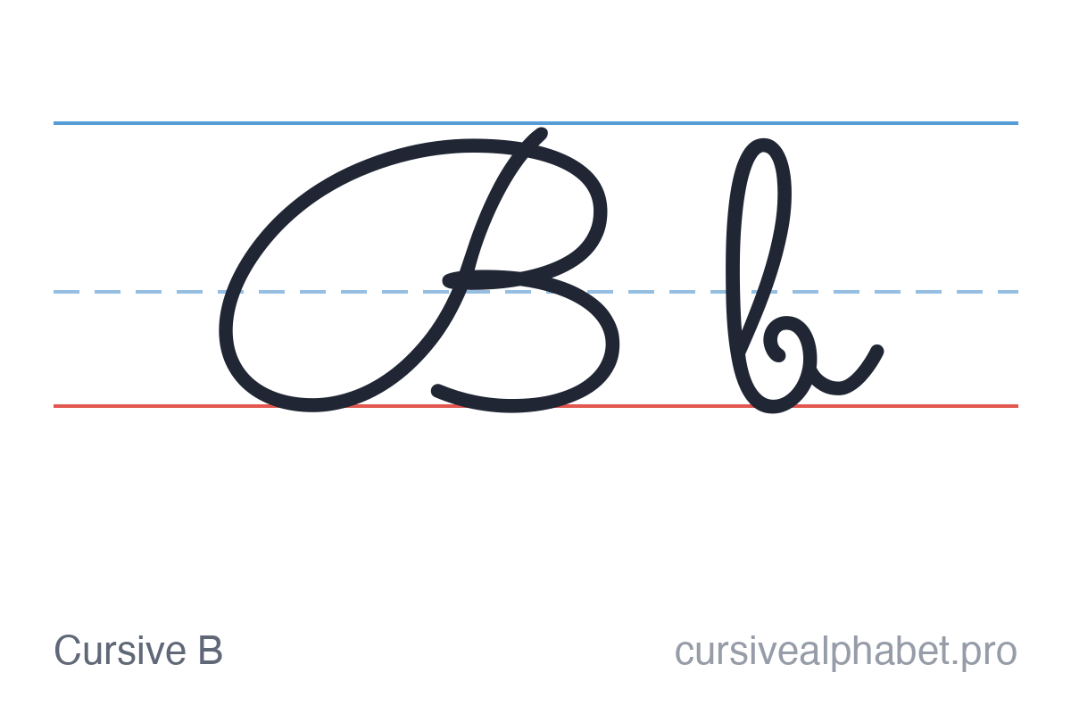 Cursive B: uppercase B and lowercase b on ruled paper