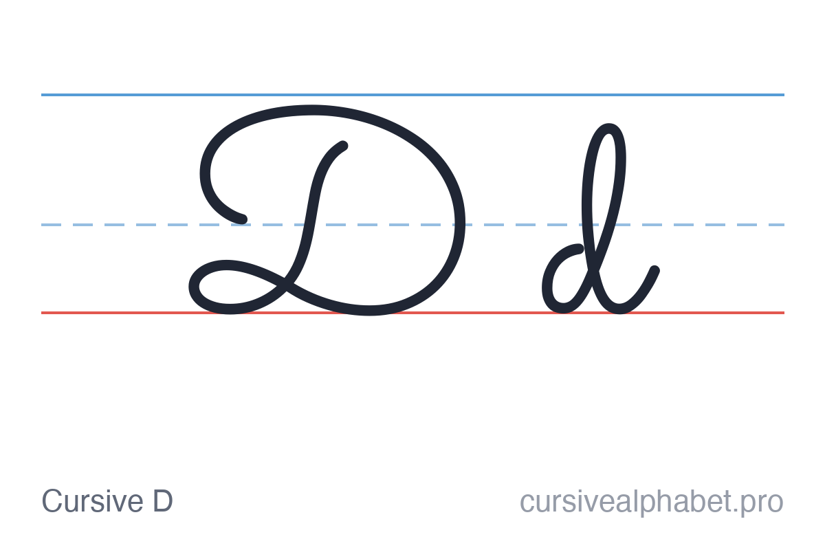 Cursive D: uppercase D and lowercase d on ruled paper