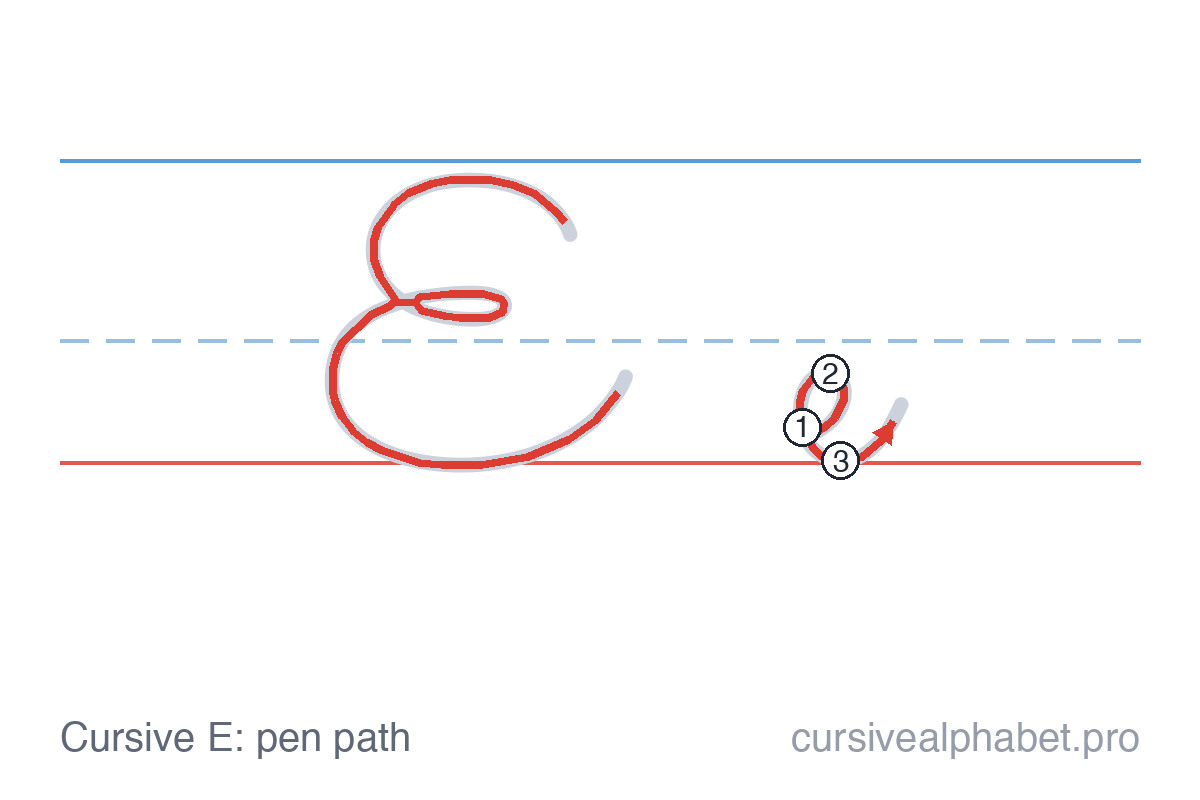 How to write cursive E: the pen path for uppercase E and lowercase e on ruled paper, with numbered steps on the lowercase e