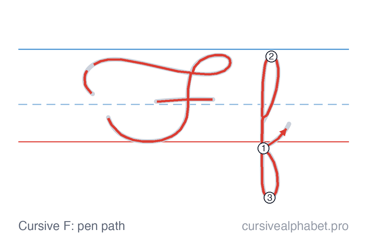 How to write cursive F: the pen path for uppercase F and lowercase f on ruled paper, with numbered steps on the lowercase f