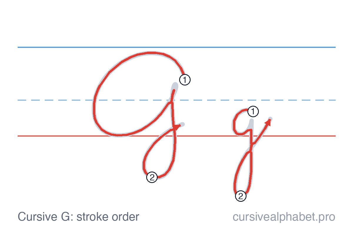 How to write cursive G: the pen path for uppercase G and lowercase g on ruled paper, with numbered steps on both letters