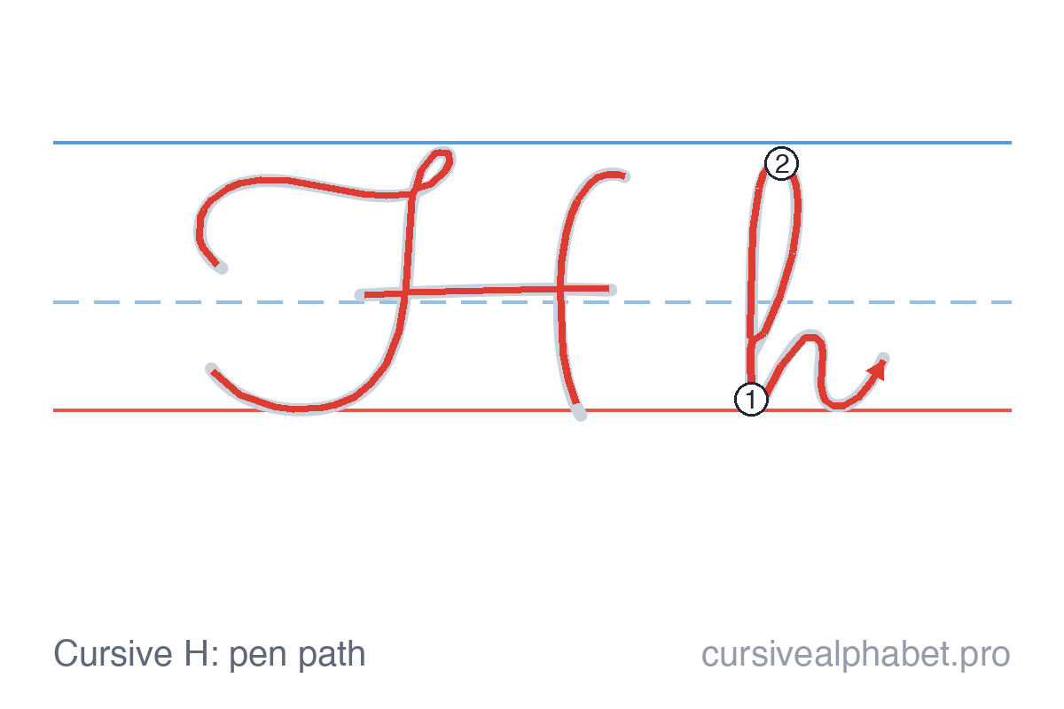 How to write cursive H: the pen path for uppercase H and lowercase h on ruled paper, with numbered steps on the lowercase h