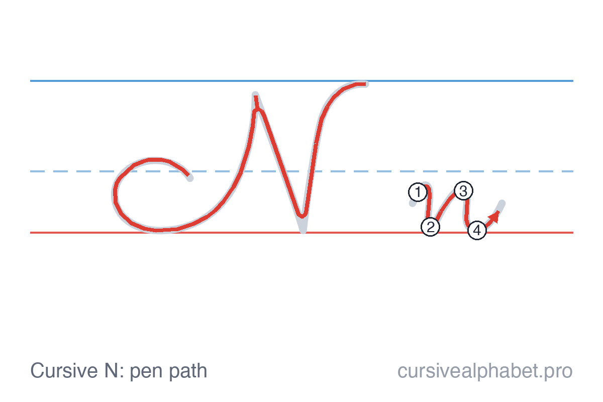 How to write cursive N: the pen path for uppercase N and lowercase n on ruled paper, with numbered steps on the lowercase n