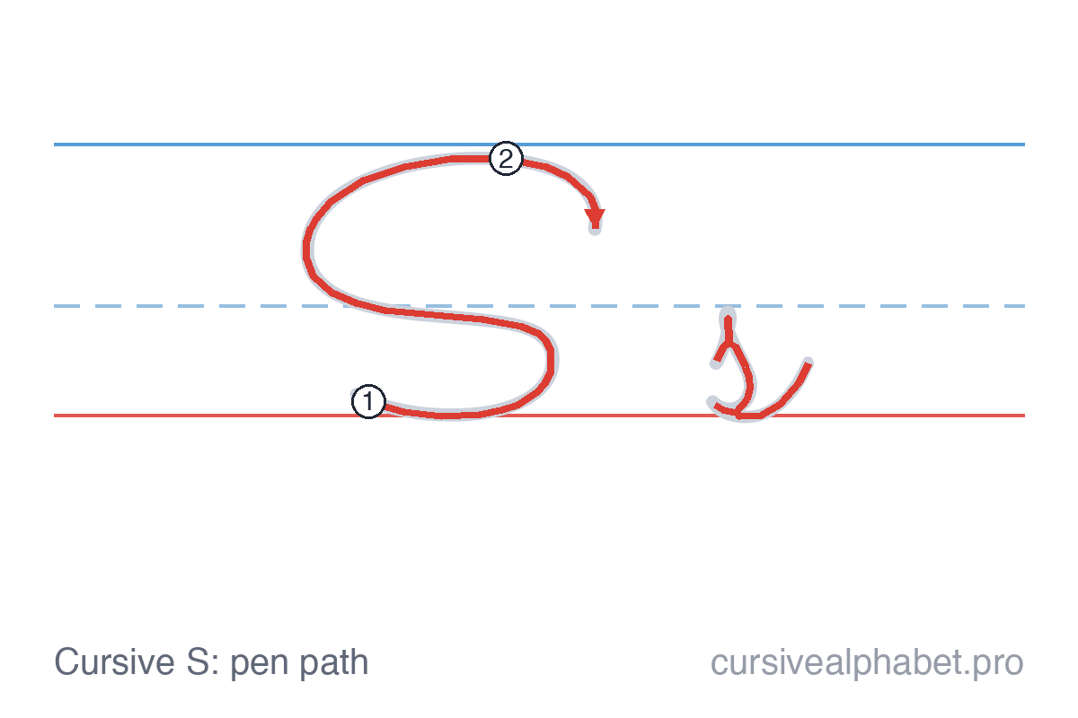 How to write cursive S: the pen path for uppercase S and lowercase s on ruled paper, with numbered steps on the capital S