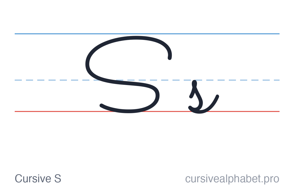 Cursive S: uppercase S and lowercase s on ruled paper