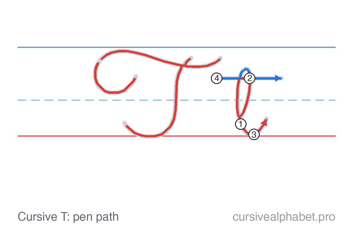 How to write cursive T: the pen path for uppercase T and lowercase t on ruled paper, with numbered steps on the lowercase t