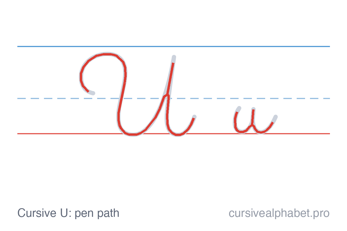 How to write cursive U: the pen path for uppercase U and lowercase u with direction arrows on ruled paper