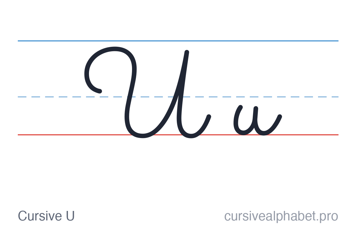 Cursive U: uppercase U and lowercase u on ruled paper