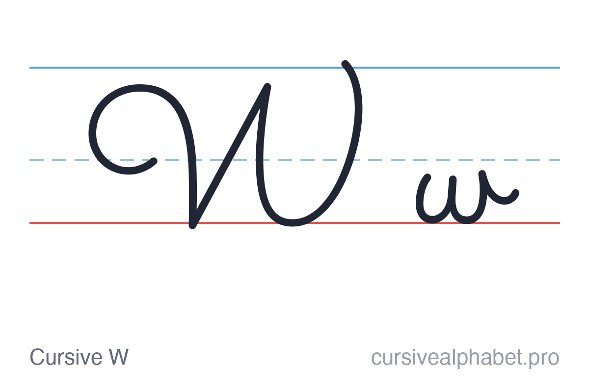 Cursive W: uppercase W and lowercase w on ruled paper