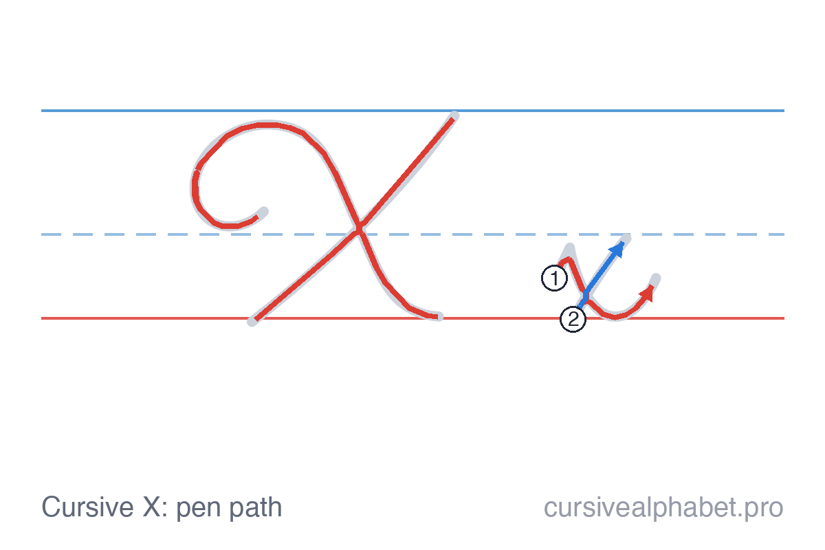 How to write cursive X: the pen path for uppercase X and lowercase x on ruled paper, with numbered steps on the lowercase x