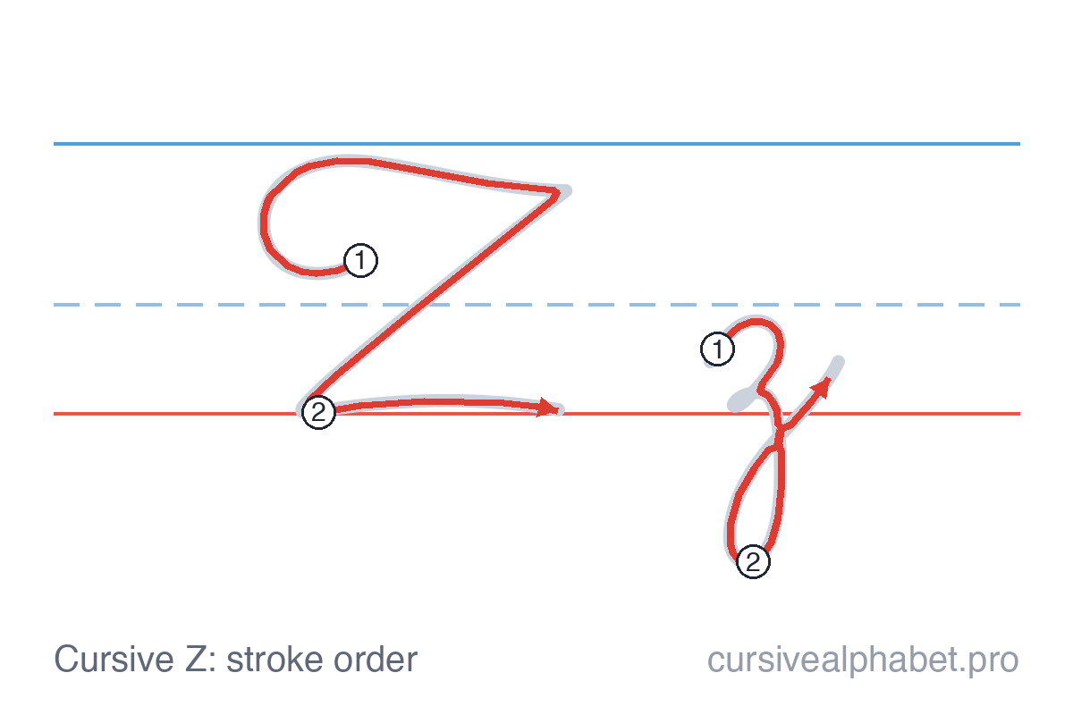 How to write cursive Z: the pen path for uppercase Z and lowercase z on ruled paper, with numbered steps on both letters